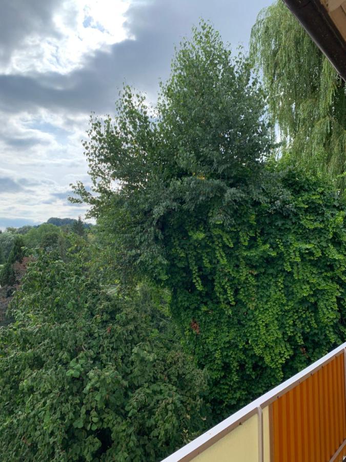 Apartament Blumenblick Rielasingen-Worblingen Exterior photo