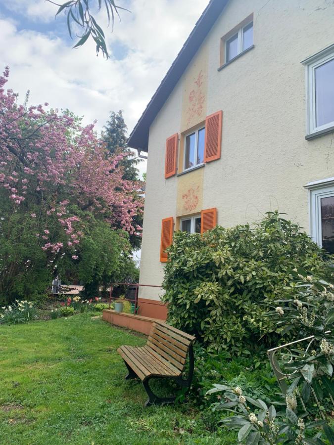 Apartament Blumenblick Rielasingen-Worblingen Exterior photo