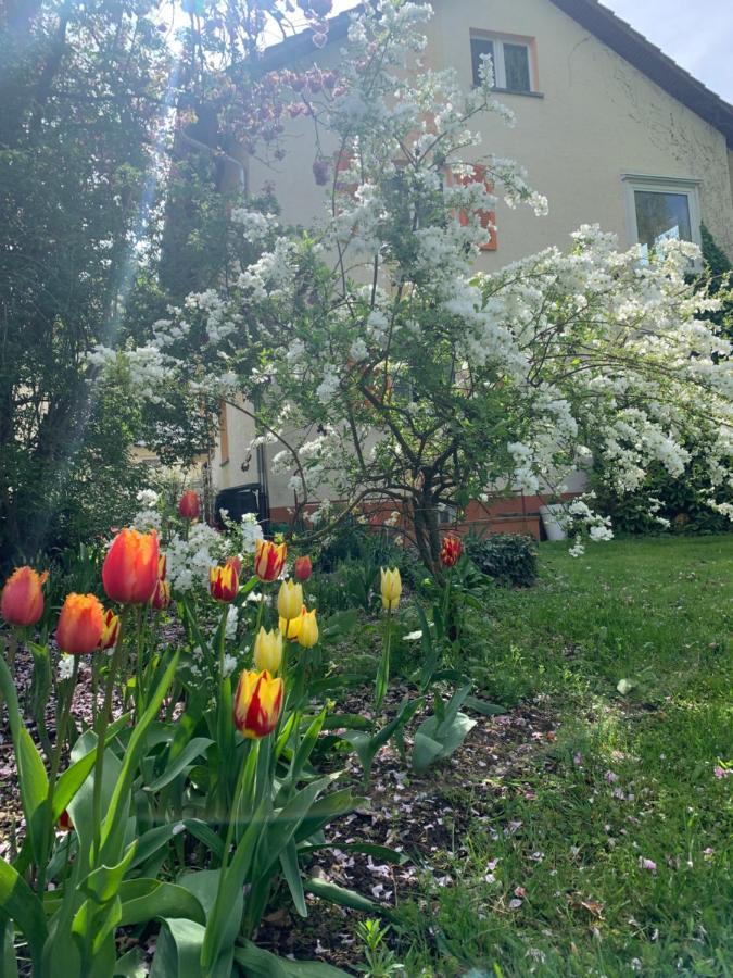 Apartament Blumenblick Rielasingen-Worblingen Exterior photo