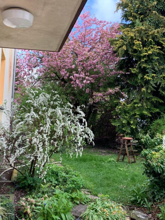 Apartament Blumenblick Rielasingen-Worblingen Exterior photo