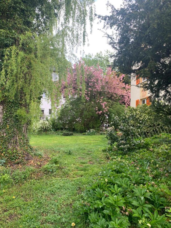 Apartament Blumenblick Rielasingen-Worblingen Exterior photo